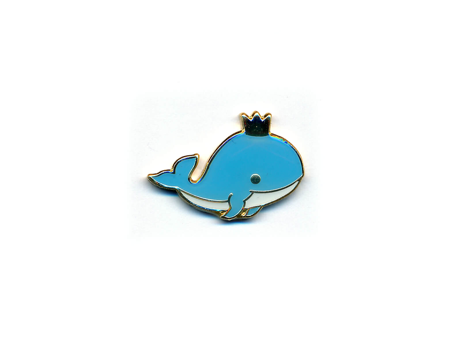 Pin Whale